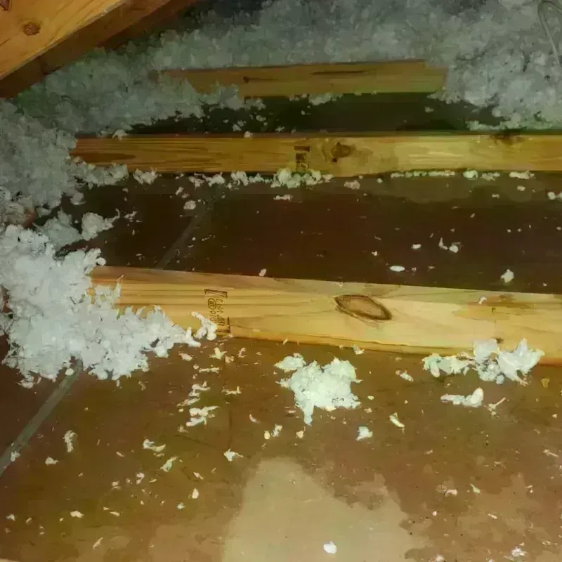 Attic Water Damage in Rockwell, AR