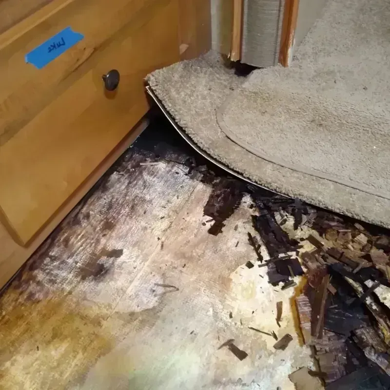 Wood Floor Water Damage in Rockwell, AR